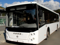 Сохранить автобусы №22 потребовали возмущенные ростовчане