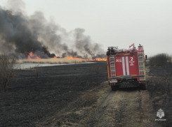 За минувшую неделю в Ростовской области на пожарах погибли 8 человек  