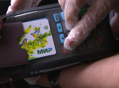 С начала 2022 года спрос на карты «Мир» вырос в 2,4 раза