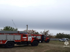 Чрезвычайная пожароопасность объявлена в Ростовской области 
