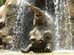 Календарь: Всемирный день защиты слонов в зоопарках