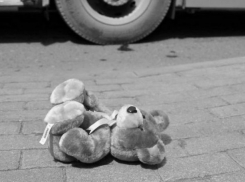 В Ростовской области будут судить водителя, сбившего троих детей на пешеходном переходе