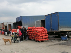 Стал известен новый владелец овощной ярмарки в старом аэропорту Ростова