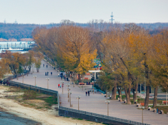 Спортивные площадки в парке «Левобережный» станут платными с 1 мая