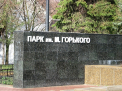 Ростовчане попросили сохранить барахолку в парке Горького