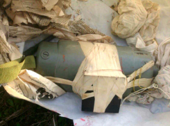 Бомба на железнодорожных путях в Ростовской области встревожила собак и остановила поезда