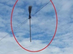 Экстремально припарковавшая необычный транспорт женщина вызвала шквал насмешек в соцсетях Ростова