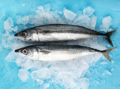 В Ростовской области Роспотребнадзор выявил 63 кг некачественной рыбы и морепродуктов 