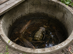В Ростовской области мужик нашёл гранату в выгребной яме и попытался продать её в Подмосковье