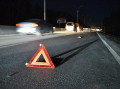 Ловившего попутку на трассе мужчину в камуфляже сбил автомобиль в Ростовской области