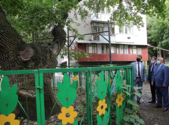 Василий Голубев пообещал сохранить рощу «Дубки»