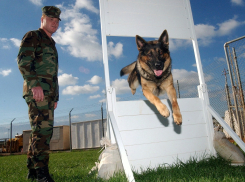 В Ростовской области задержали преступника из Украины