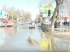 Жительница Таганрога голой искупалась в луже и попала на видео