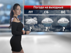 Потепление и дожди ожидаются на выходных в Ростове