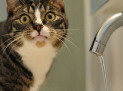 Несколько улиц Ростова останутся без воды в первую неделю осени