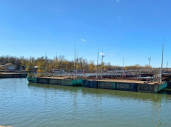 Проект моста на Зеленый остров в Ростове вновь отправят на экспертизу