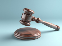 На Дону экс-главу сельского поселения приговорили к двум годам колонии за махинации с землей