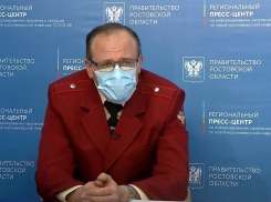 Главный санврач Дона рассказал о возможном продлении школьных каникул