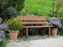 Жители Ростова выберут парки и скверы, которые благоустроят в 2020 году