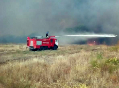 Масштабный лесной пожар продолжает разрастаться в Ростовской области