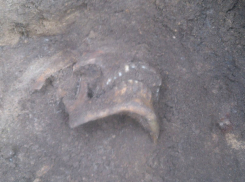 Загадочные останки двоих погибших в бою солдат обнаружили под Ростовом