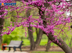 Прогноз погоды в Ростове на 22 марта