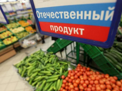 Импортозамещение на Дону:  от цели к результатам