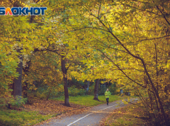 Пасмурно и без осадков: прогноз погоды в Ростове на 12 ноября