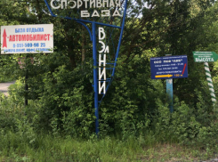 В Ростовской области продолжают выборочно исчезать земли лесного фонда