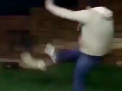 Чудовищный удар мужчиной кота попал на видео и вызвал волну возмущения у жителей Ростова