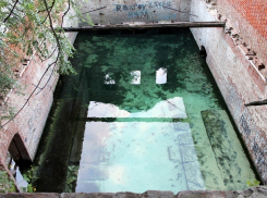 «Поющие моржи» споют и искупаются на Парамоновских складах