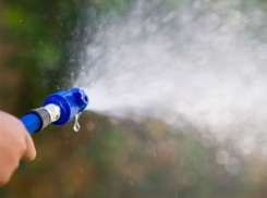 Во время пожаров искать помощи у добровольцев предлагают жителям Ростова и области  