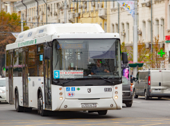 В Ростове появились дизайнерские транспортные карты, оформленные художницей