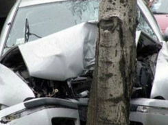 Две девушки и их молодые люди пострадали от удара иномарки в дерево на трассе под Ростовом