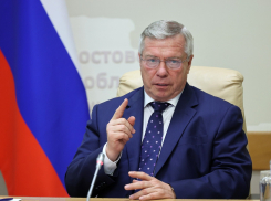 Голубев запретил уличные массовые мероприятия в Ростовской области