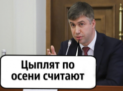 «Цыплят по осени считают»: говорил ли так сити-менеджер Ростова Алексей Логвиненко 