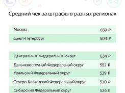 Средний «чек» за нарушения ГИБДД в августе у жителей Ростовской области составил 496 рублей
