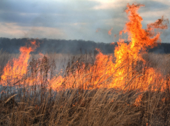 Крупные ландшафтные пожары потушены в Ростовской области