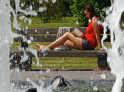 Теплая, но пасмурная погода обещает проясниться для жителей Ростова в это воскресенье