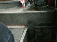 Застрявший в текстурах маршрутки пассажир заставил поверить в эру нанотехнологий жителей Ростова