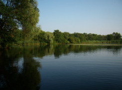 Перебраться  вплавь: паромную переправу закрыли на большой реке в Ростовской области