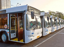 В октябре на улицах Ростова появятся 11 новых автобусов