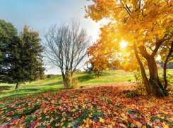 Синоптики обещают в Ростовской области в сентябре похолодание до +1 градуса