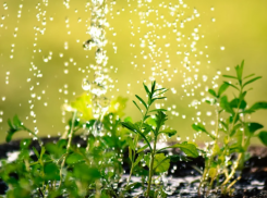 «У природы нет плохой погоды»: чем дачникам заняться в дождливые дни