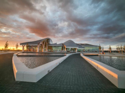 В Ростов прибыл вывозной рейс из Нью-Йорка