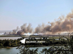 Пепел от крупного пожара в Аксайском районе долетает до Ростова
