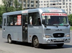Транспортный департамент вернул маршрутное такси №59 в Ростове