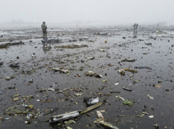 В Ростове-на-Дону идентифицировали останки всех погибших в авиакатастрофе
