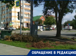 «Рухнувшее дерево распилили, а ветки не убрали»: ростовчанка пожаловалась на работу управления благоустройства