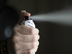 Одна автоледи сожгла глаза другой баллончиком во время дорожной потасовки в Ростове